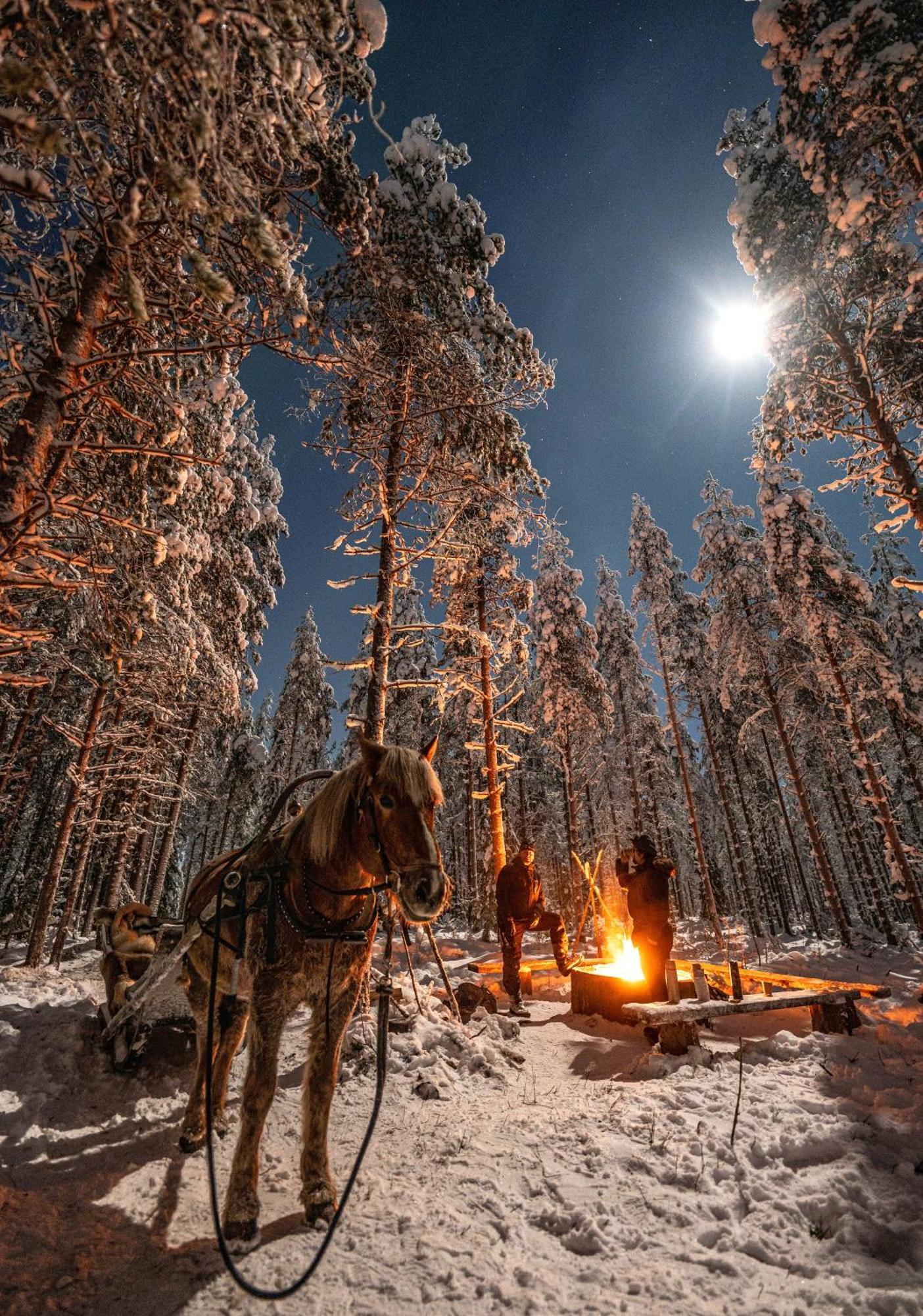 Haistila Рануа Экстерьер фото